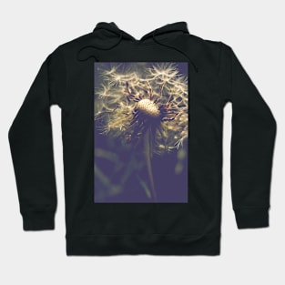 Wishes and Dreams Hoodie